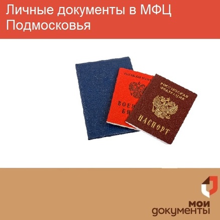 На региональном портале uslugi.mosreg.ru доступна информация о 28 популярных услугах